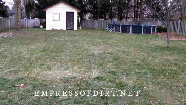 Year one starting a new garden: bare grass lawn with shed and old swimming pool.