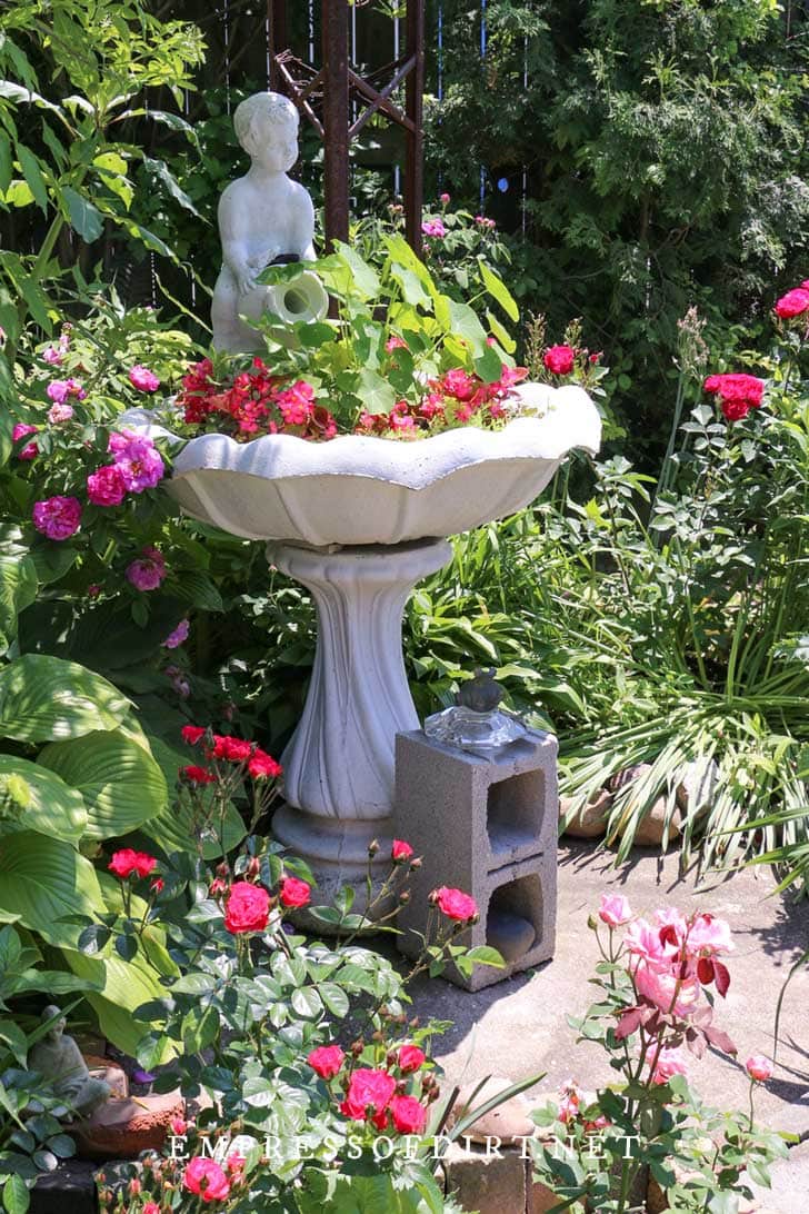 14 Birdbath Planter Ideas for Your Garden — Empress of Dirt