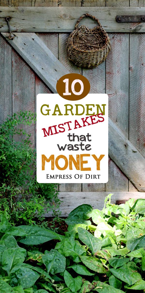 Garden mistakes that waste money and time.