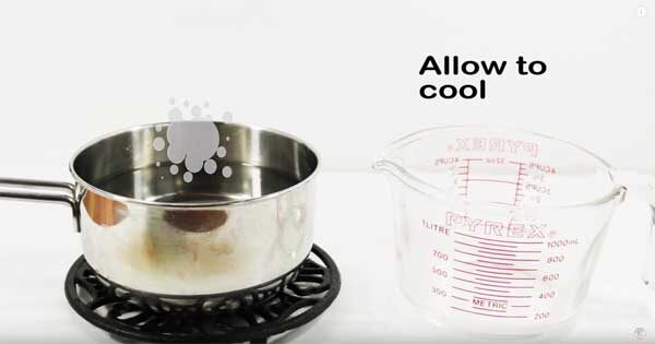 hummingbird food ratio of sugar to water