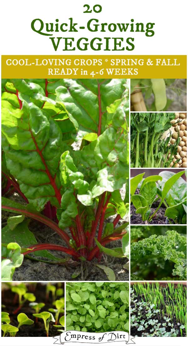 20 QuickGrowing Veggies Fall & Spring Empress of Dirt