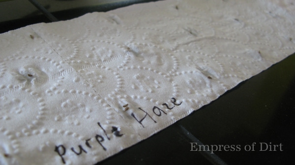 How to make seed tapes for planting tiny seeds How to make seed tapes for planting tiny seeds
