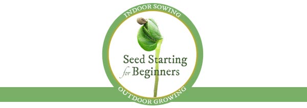 Seed Starting for Beginners | Indoor Sowing Outdoor Growing Seed Starting for Beginners | Indoor Sowing Outdoor Growing