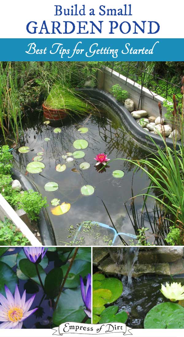 Advice For Starting A New Garden Pond Empress of Dirt