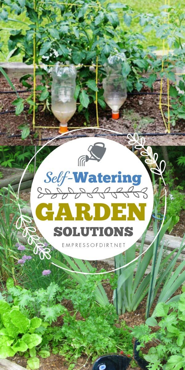 Self-Watering Garden and Flower Pot Options - Empress of Dirt