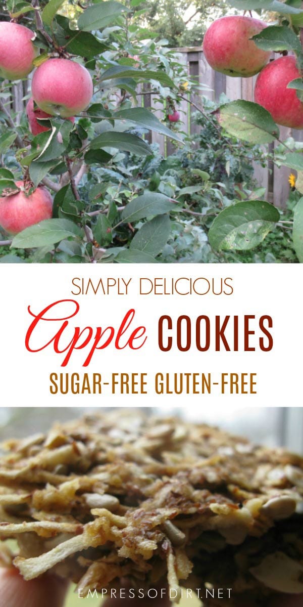 AllNatural Apple Cookies Empress of Dirt