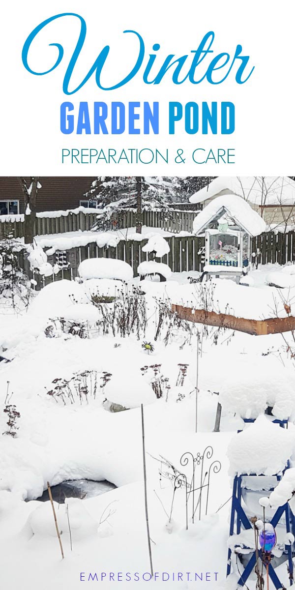 How to Keep Pond Fish Alive in Winter Empress of Dirt