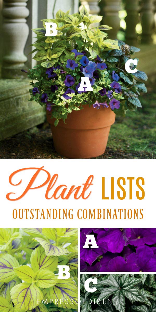 Plant lists for beautiful patio containers. Image by Proven Winners. Plant lists for beautiful patio containers. Image by Proven Winners.