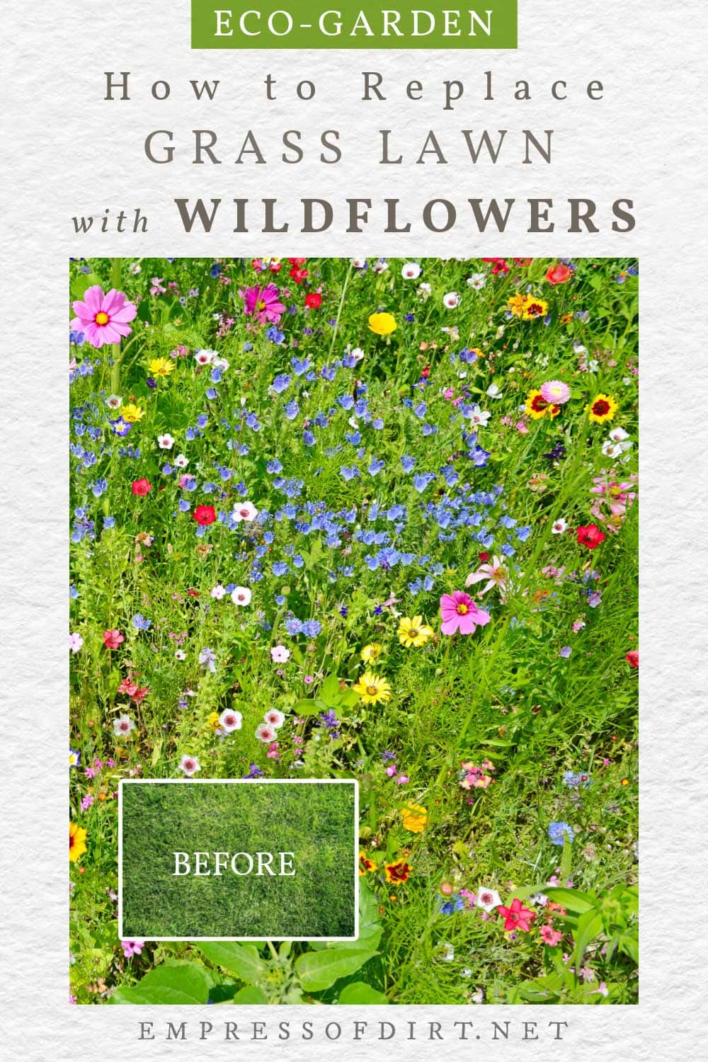 how-to-replace-lawn-with-wildflower-seed-mix-empress-of-dirt