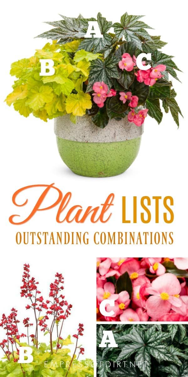 Plant lists for beautiful patio containers. Image by Proven Winners. Plant lists for beautiful patio containers. Image by Proven Winners.