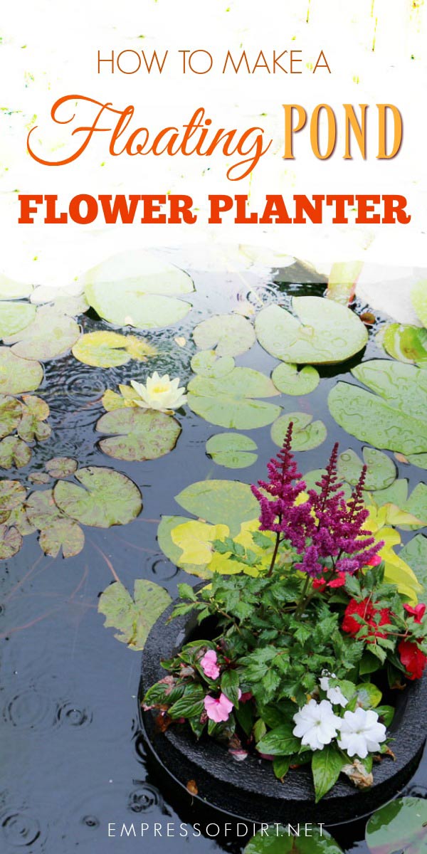 How to Make a Floating Pond Planter Empress of Dirt