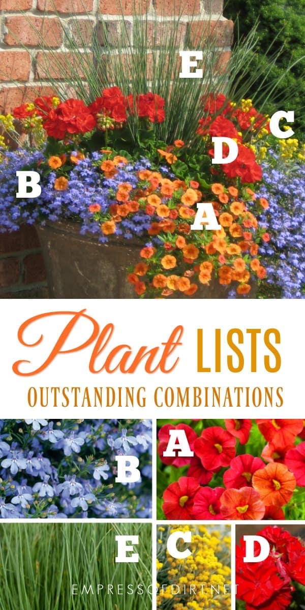 Plant lists for beautiful patio containers. Image by Proven Winners. Plant lists for beautiful patio containers. Image by Proven Winners.
