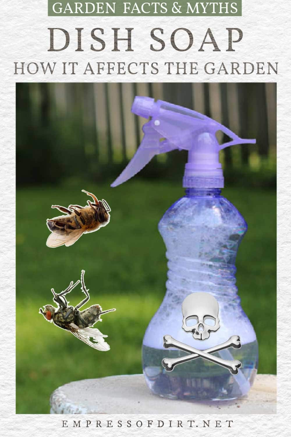 Is Dish Soap Safe for the Garden? Empress of Dirt
