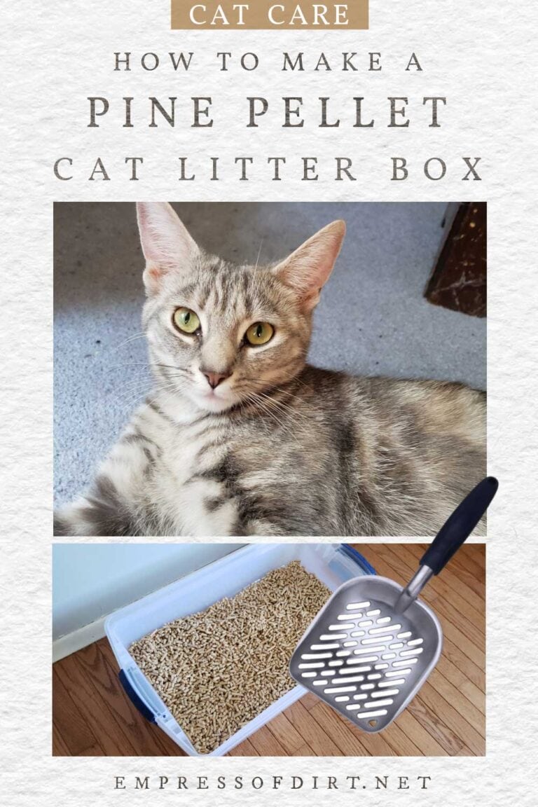 DIY Sifting Cat Litter Box Using LowCost Pine Pellets