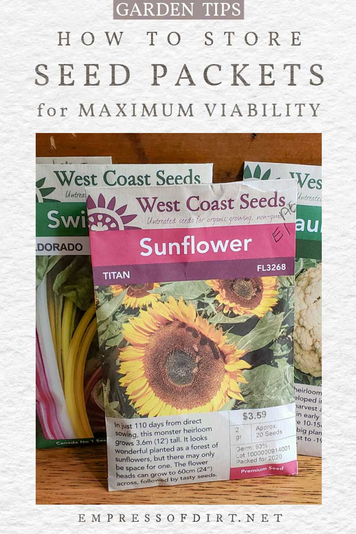 Best Ways to Store Seeds at Home (Fridge & Other Options)