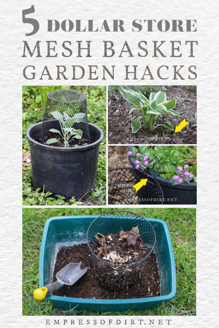 5 Smart Garden Uses for This Dollar Store Waste Basket