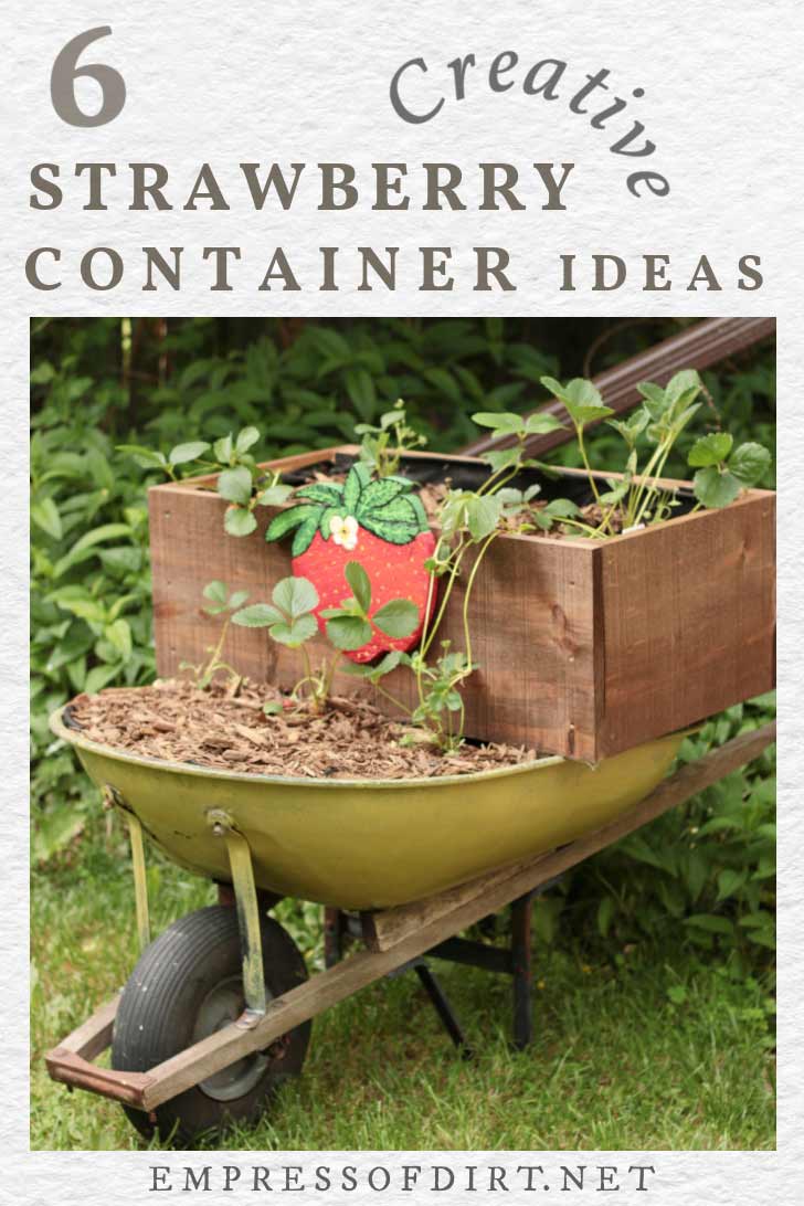 6 Creative Containers for Growing Strawberries