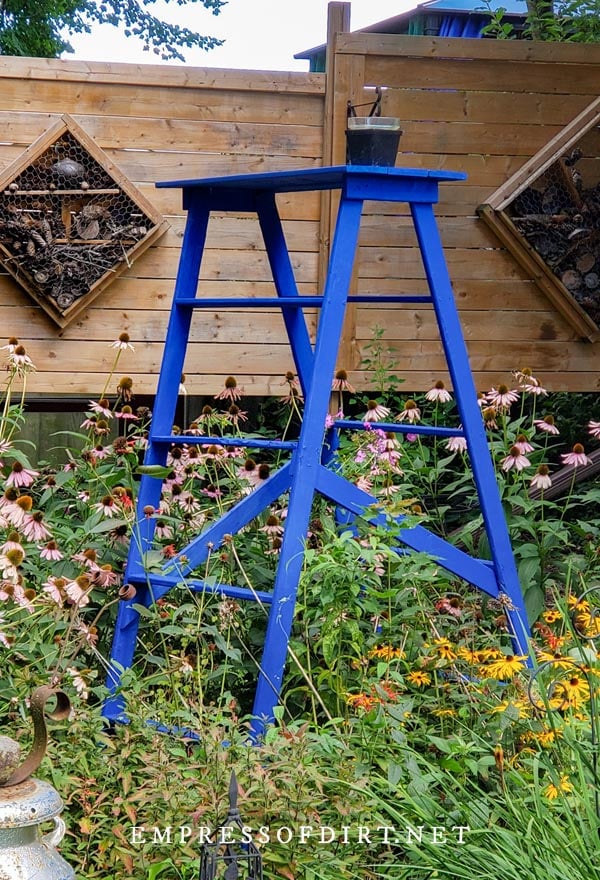 Homemade decorative garden ladder in the style of vintage painter's ladder, painted blue.