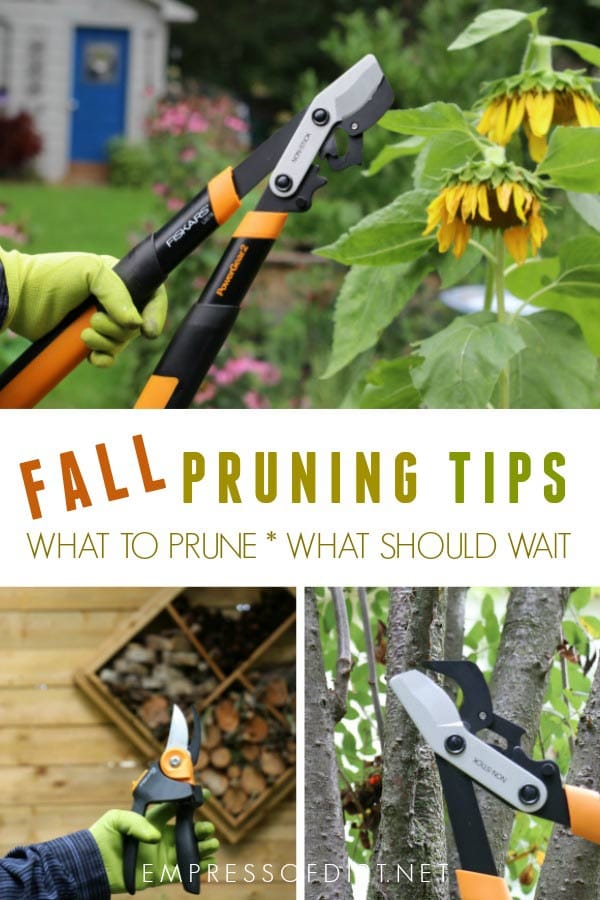Fall pruning tips for the home garden and how to choose the right tools for the job.