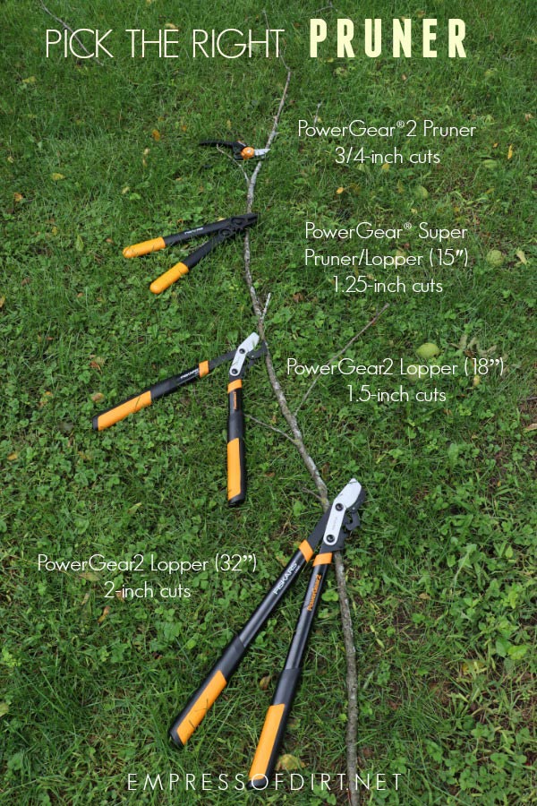 Pick the right pruning tool for the type and size of cut.