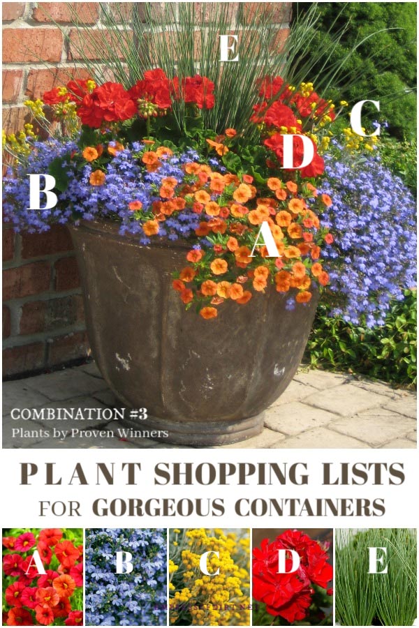 Plant combination ideas by Proven Winners.