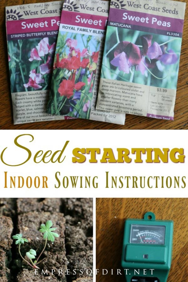 How to Sow Seeds Indoors StepbyStep Empress of Dirt