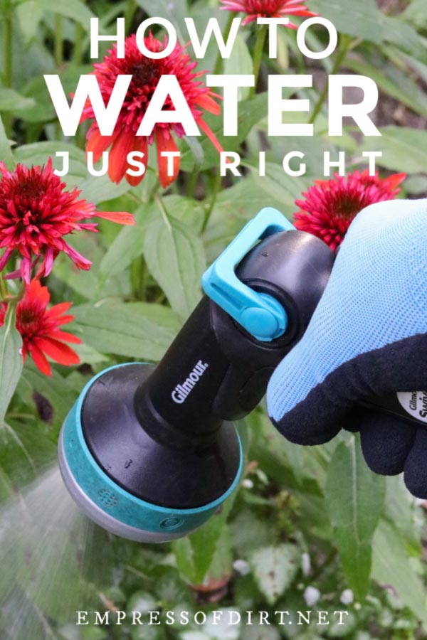 Watering nozzle spraying water in garden.