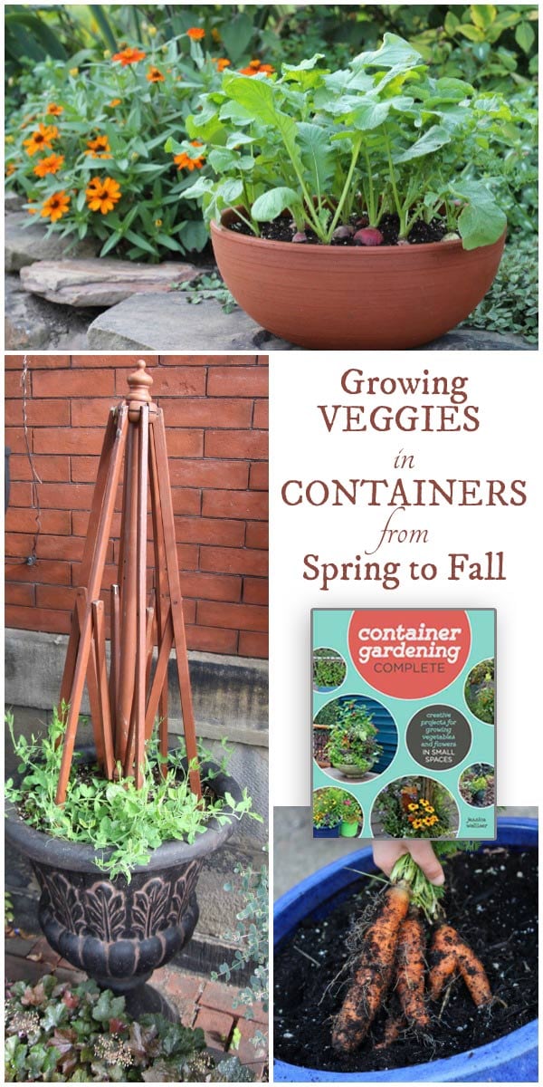 Growing Veggies in Containers from Spring to Fall Empress of Dirt Growing Veggies in Containers from Spring to Fall