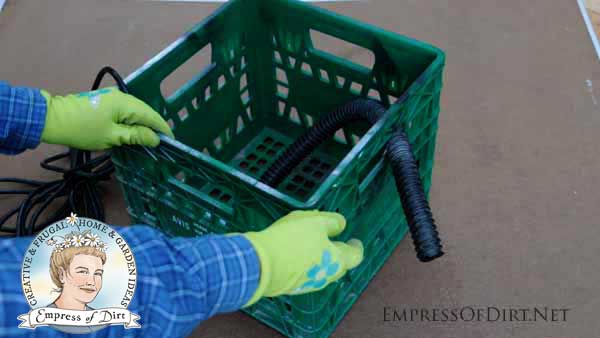 Setting up pond pump in milk crate.