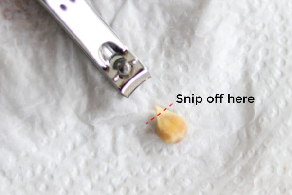 Nail clippers and citrus seed.