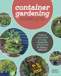 How to Create a Pollinator-Friendly Container Garden