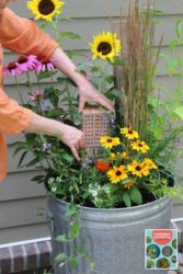 How to Create a Pollinator-Friendly Container Garden