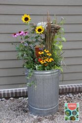 How to Create a Pollinator-Friendly Container Garden