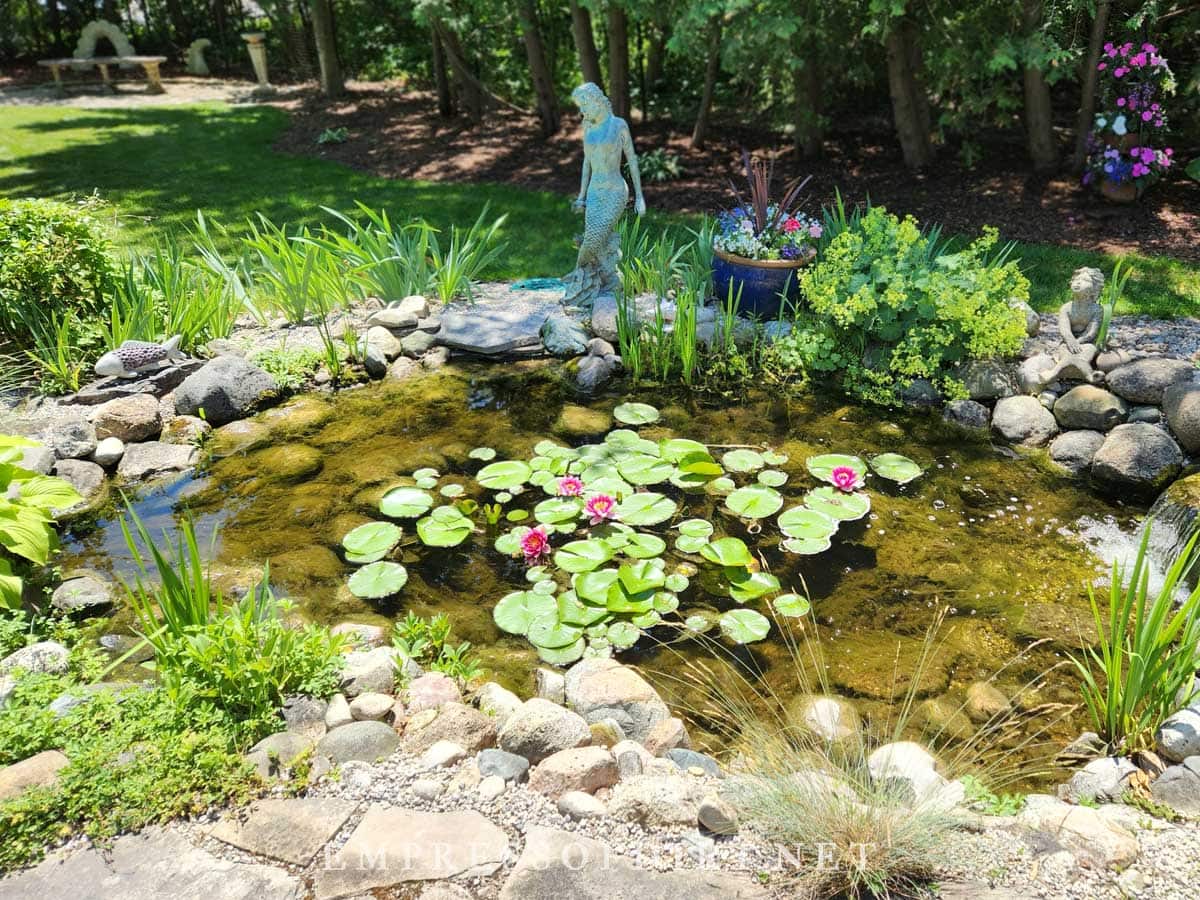 Mid-size backyard garden pond with mermaid statue