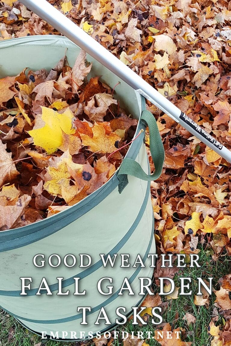 Great Fall Weather? Get These Garden Jobs Done