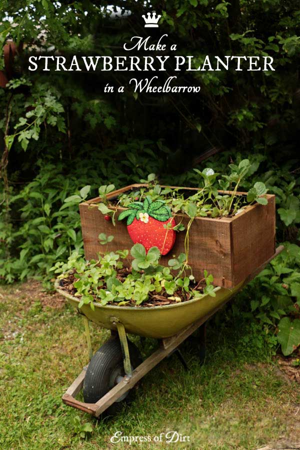 DIY Rolling Strawberry Wheelbarrow Planter Empress of Dirt