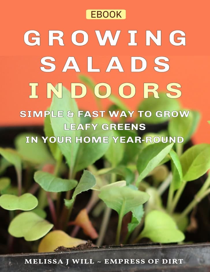 Growing Salads Indoors cover