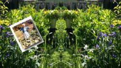 Ruth Stout ~ the Brilliant Naked Gardener — Empress of Dirt