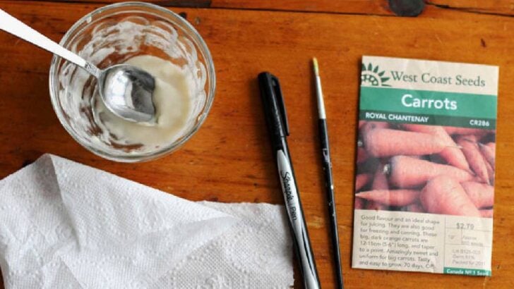 Supplies for making carrot seed tapes.