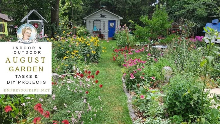 Backyard garden in full bloom in August