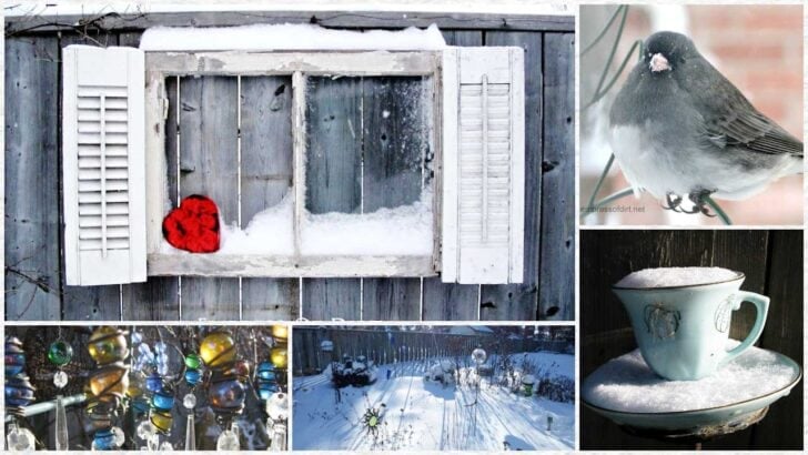 Collage of images from a winter garden including a garden art teacup and bird with snow.