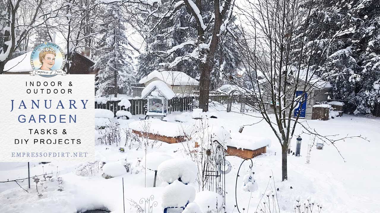 Snowy winter garden in January