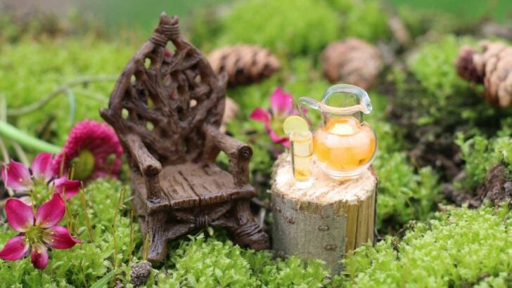 Close up of miniature garden with tiny chair and table with a jug of lemonade.