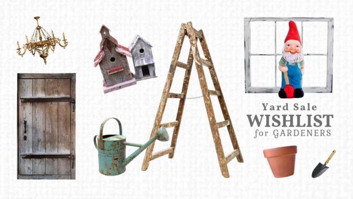 Garden items to look for at yard sales including old ladders and watering cans.
