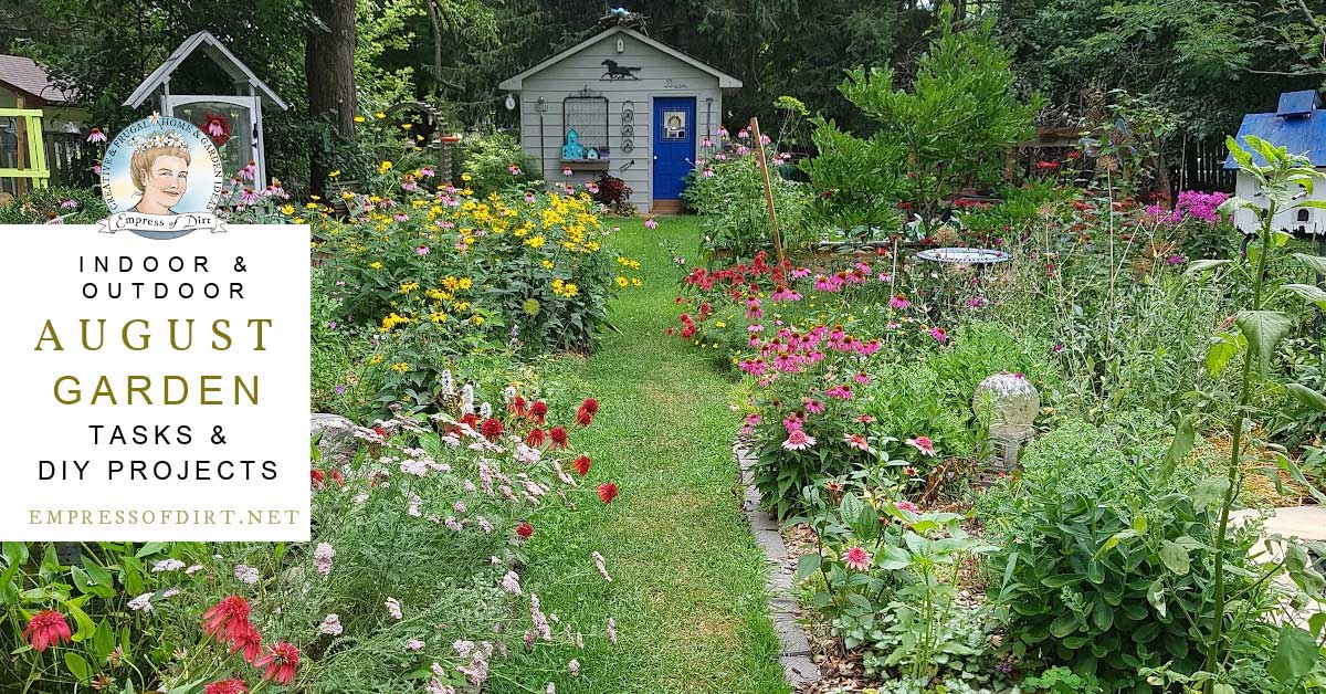 Backyard garden in full bloom in August