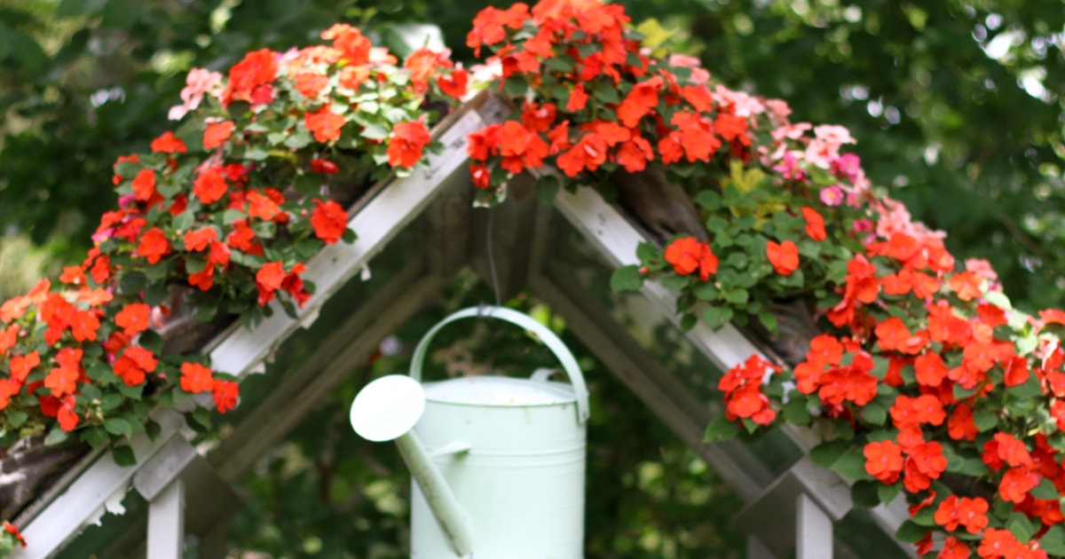 Turn a Shoe Organizer Into a Flower Vertical Planter Empress of Dirt