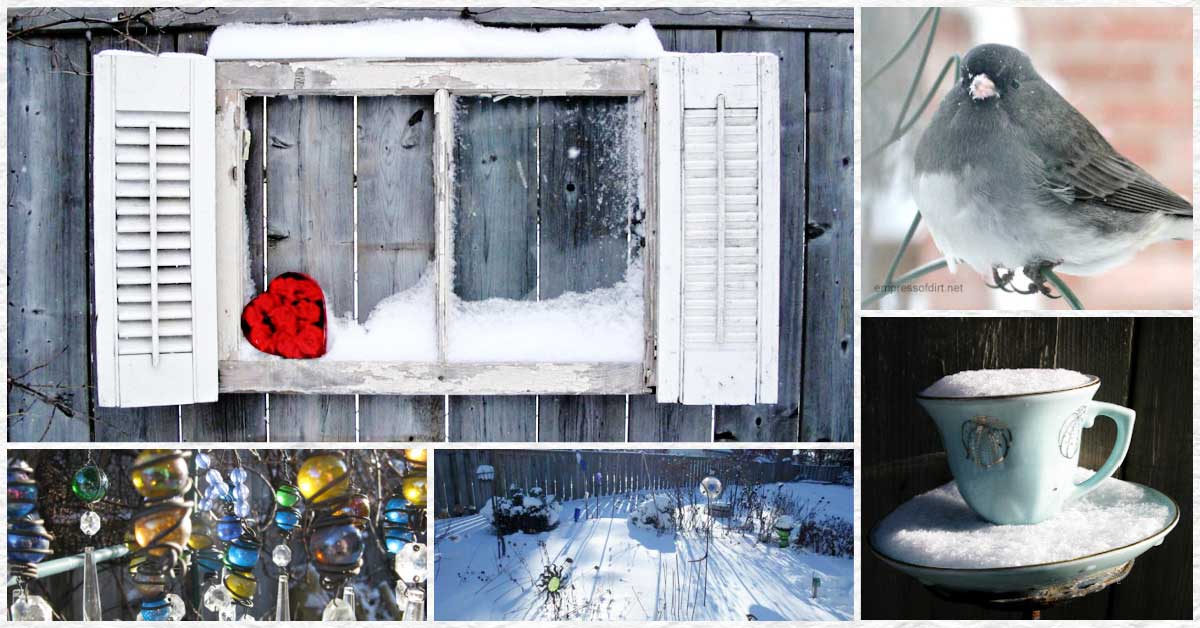 Collage of images from a winter garden including a garden art teacup and bird with snow.