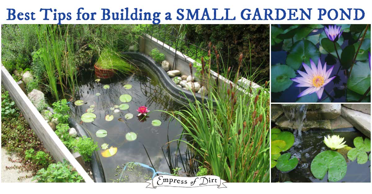Building A Backyard Pond Here's What You Need To Know First Impressive Build A Pond In Backyard Design Building A Backyard Pond Here's What You Need To Know First Impressive Build A Pond In Backyard Design