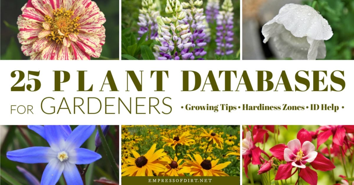 Online Plant Databases (Canada & United States) Empress of Dirt