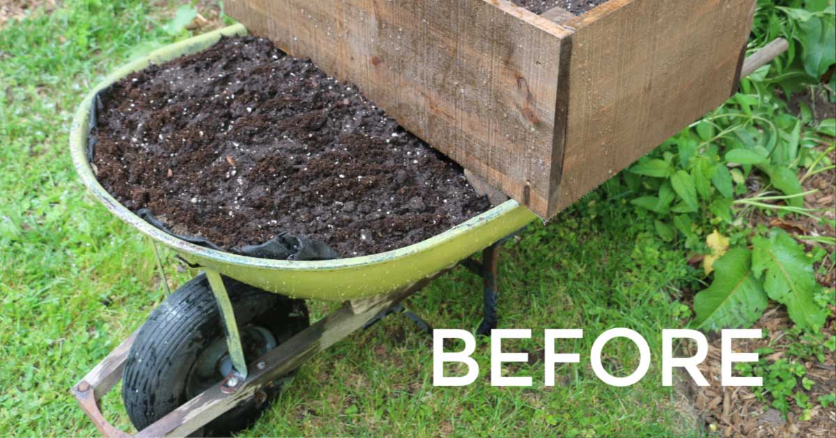 Wheelbarrow turned into a planter Stock Photo - Alamy Wheelbarrow turned into a planter Stock Photo - Alamy